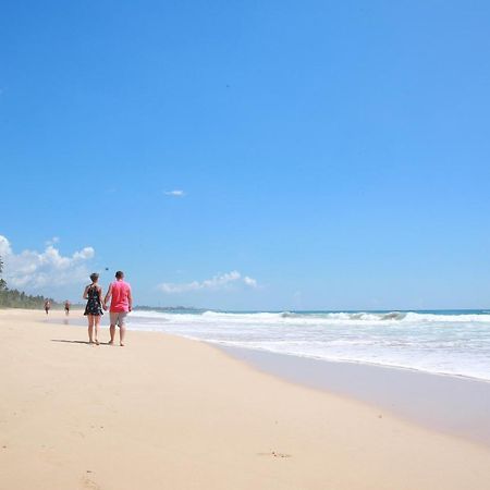 Limecabanas-Srilanka Habaraduwa Central Zewnętrze zdjęcie